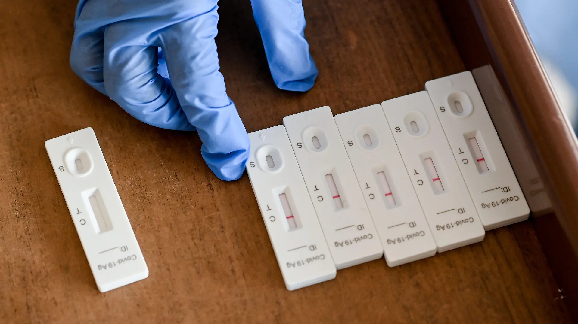 PRODUKTION - 08.11.2021, Brandenburg, Zossen: Eine Krankenschwester eines mobilen Test-Teams des Deutschen Roten Kreuzes (DRK) ordnet die Testergebnisse von Corona-Schnelltests in der DRK-Seniorenbetreuungseinrichtung Saalower Berg. Mit Sorge blicken Pflegeheime in Brandenburg auf die kalte Jahreszeit - und steigende Corona-Zahlen. Da auch Geimpfte mit dem Virus infiziert sein können, geben nur Tests mehr Sicherheit. Foto: Jens Kalaene/dpa-Zentralbidl/dpa +++ dpa-Bildfunk +++