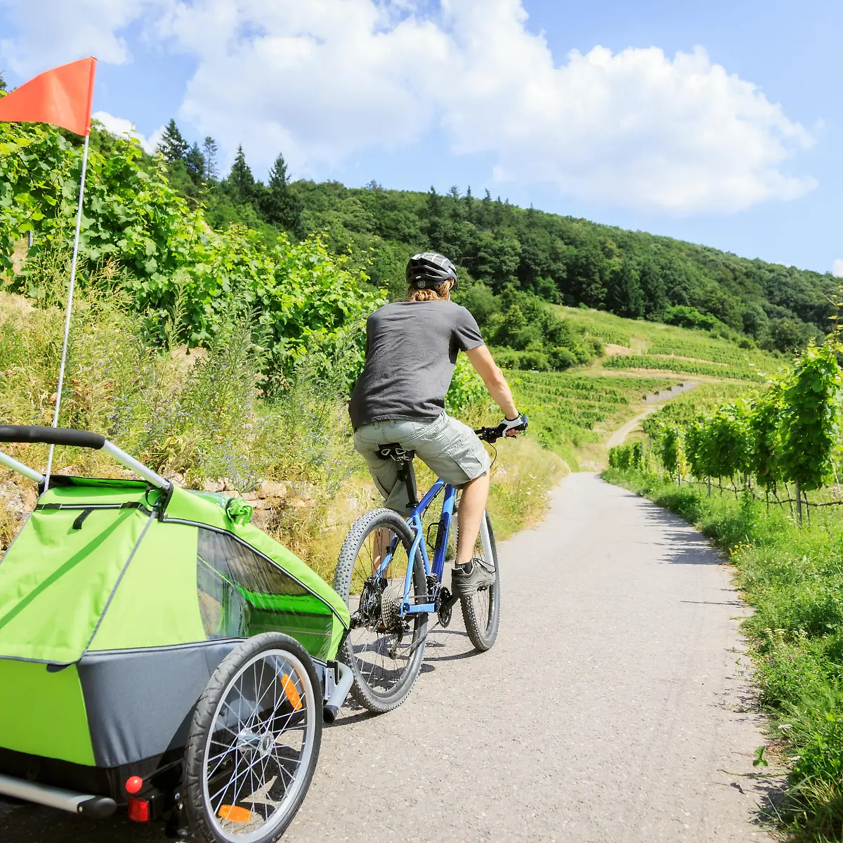 Die schnittigsten Lasten-Fahrradanhnger fr unter 150 Euro