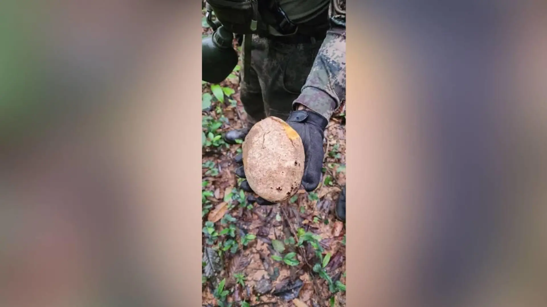 Ein Soldat hält eine Frucht in der Hand.