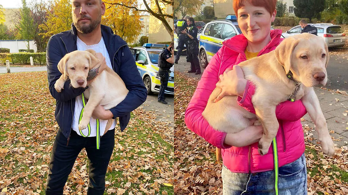 Sie werden jetzt im Tierheim aufgepäppelt.