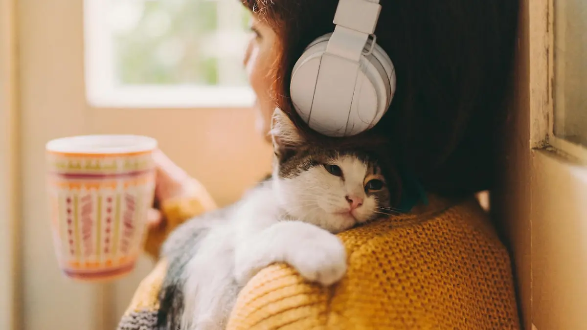 Hörbuch-Empfehlungen des Monats