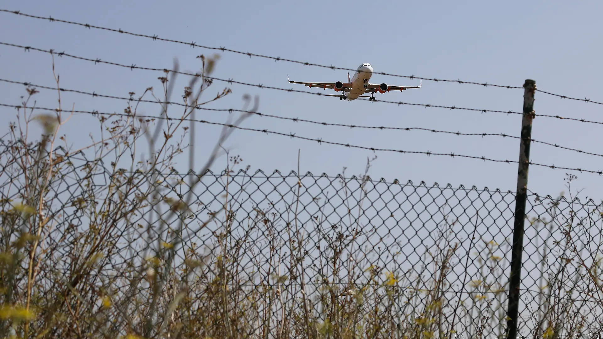 Ein Easyjet-Flugzeug überfliegt beim Landeanflug auf den Flughafen von Palma de Mallorca ein Feld. Laut Turespana (Organisation abhängig vom spanischen Industrieministerium) ist die Zahl der Touristen auf den Balearen im Juli 2020 im Vergleich zum Vorjahr um 74% gesunken.