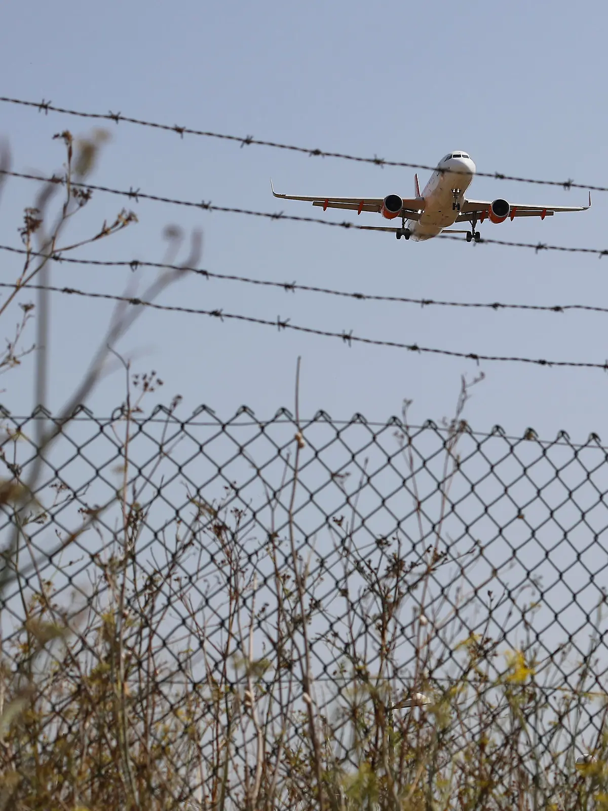 Ein Easyjet-Flugzeug überfliegt beim Landeanflug auf den Flughafen von Palma de Mallorca ein Feld. Laut Turespana (Organisation abhängig vom spanischen Industrieministerium) ist die Zahl der Touristen auf den Balearen im Juli 2020 im Vergleich zum Vorjahr um 74% gesunken.