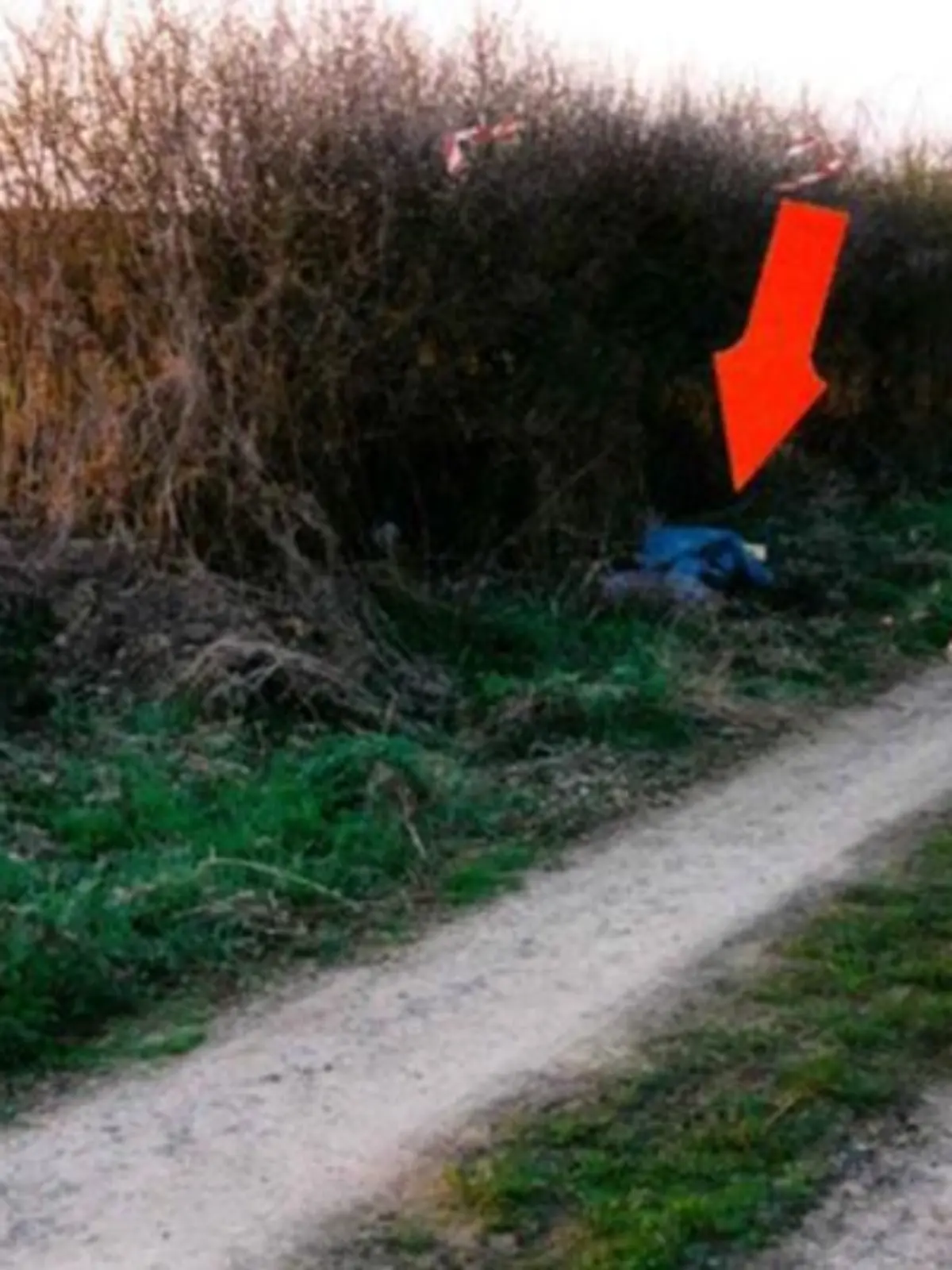 Fundort der Babyleiche zwischen Büdingen-Vonhausen und Büdingen-Lorbach