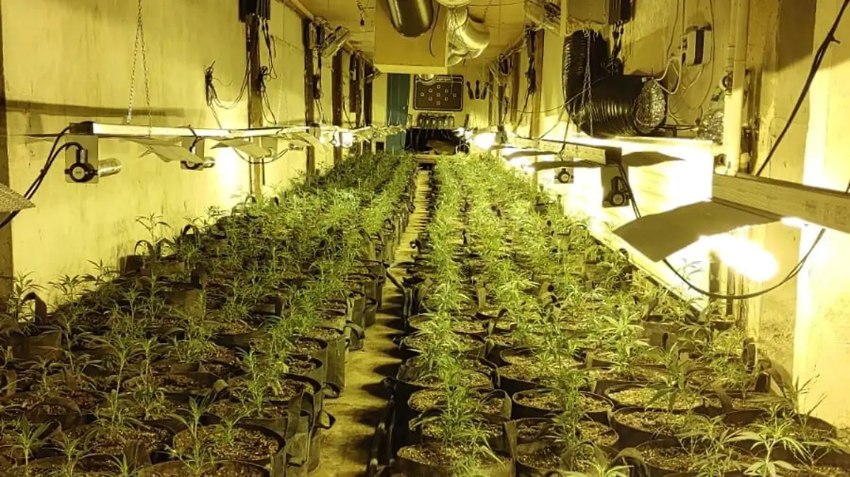 Eine Bundeskegelbahn im Keller des Hauses wurde zur Anzucht der Cannabisplantagen umgebaut.