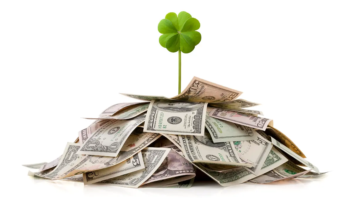 Four leaf clover standing on a stack of US dollars isolated on white background.