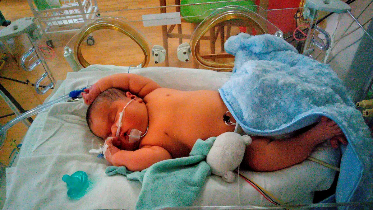SONDERKONDITIONEN: Satzpreis!
Alpha - believed to be the third biggest baby born in the UK with a weight of 14lb 15oz. See SWNS story SWBRbaby. A mum has given birth to a whopping 14lb 15oz baby - believed to be the third biggest newborn in the UK. Cherral Mitchell, 31, needed two midwives to haul out big Alpha before he left staff shocked when he tipped the scales. Nicknames such as 'Butter Bean' and 'Baby Hippo' have since floated as it's believed Alpha is the third heaviest baby to be born on British soil. Cherral said: "We didn't think he was going to be that big.  / action press