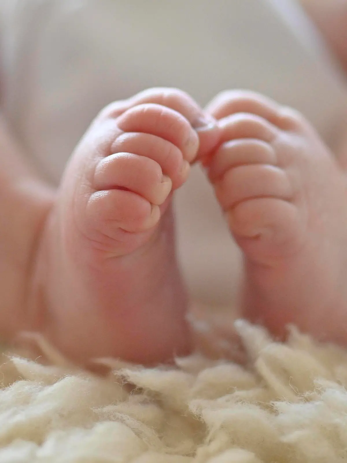 Babyfüßchen, Säugling, Mädchen, 10 Tage, Stuttgart, Baden-Württemberg, Deutschland, Europa *** Baby feet, infant, girl, 10 days, Stuttgart, Baden Württemberg, Germany, Europe Copyright: imageBROKER/MichaelxWeber ibximw07140392.jpg Bitte beachten Sie die gesetzlichen Bestimmungen des deutschen Urheberrechtes hinsichtlich der Namensnennung des Fotografen im direkten Umfeld der Veröffentlichung!