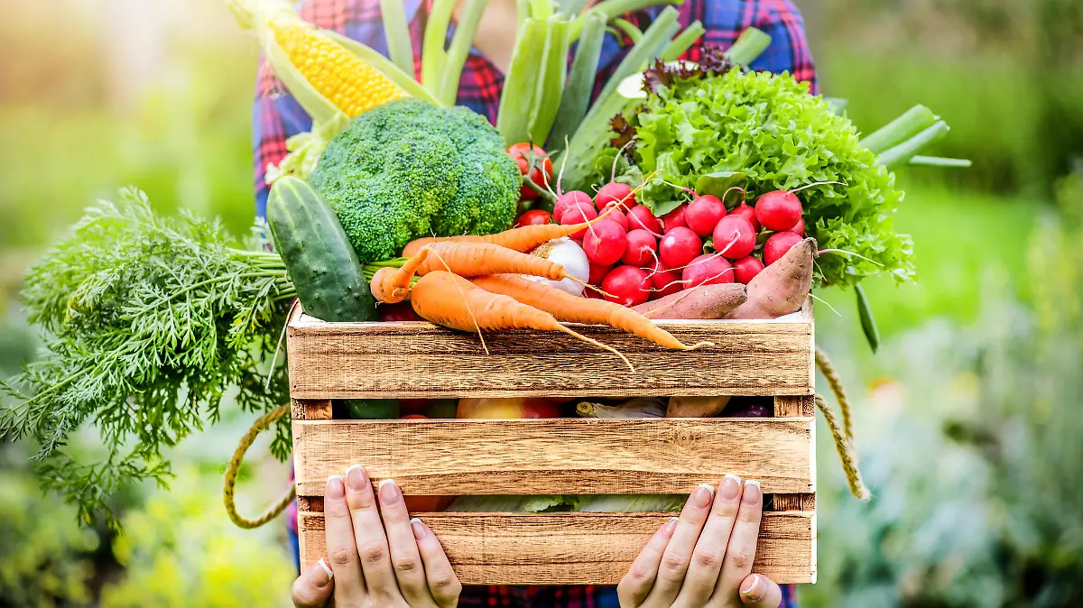 Farmer woman holding wooden box full of fresh raw vegetables. Basket with vegetable (cabbage, carrots, cucumbers, radish, corn, garlic and peppers) in the hands.