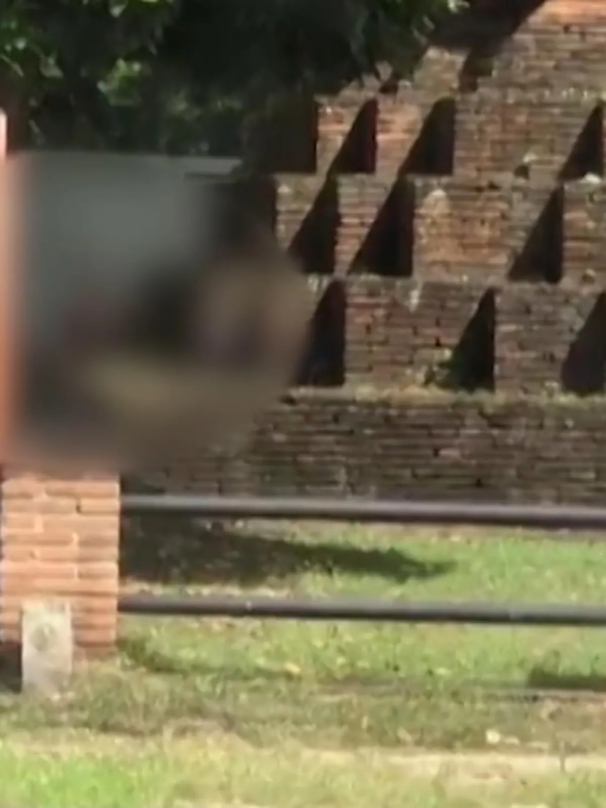 Kurioser Polizei-Einsatz in Thailand: Ein Sex-Video, das an einer Pagode entstand, rief die Ermittler auf den Plan. Und kostet die beiden Liebenden, die nach eigenen Angaben schon länger nicht mehr zusammen waren, jetzt eine Strafe.