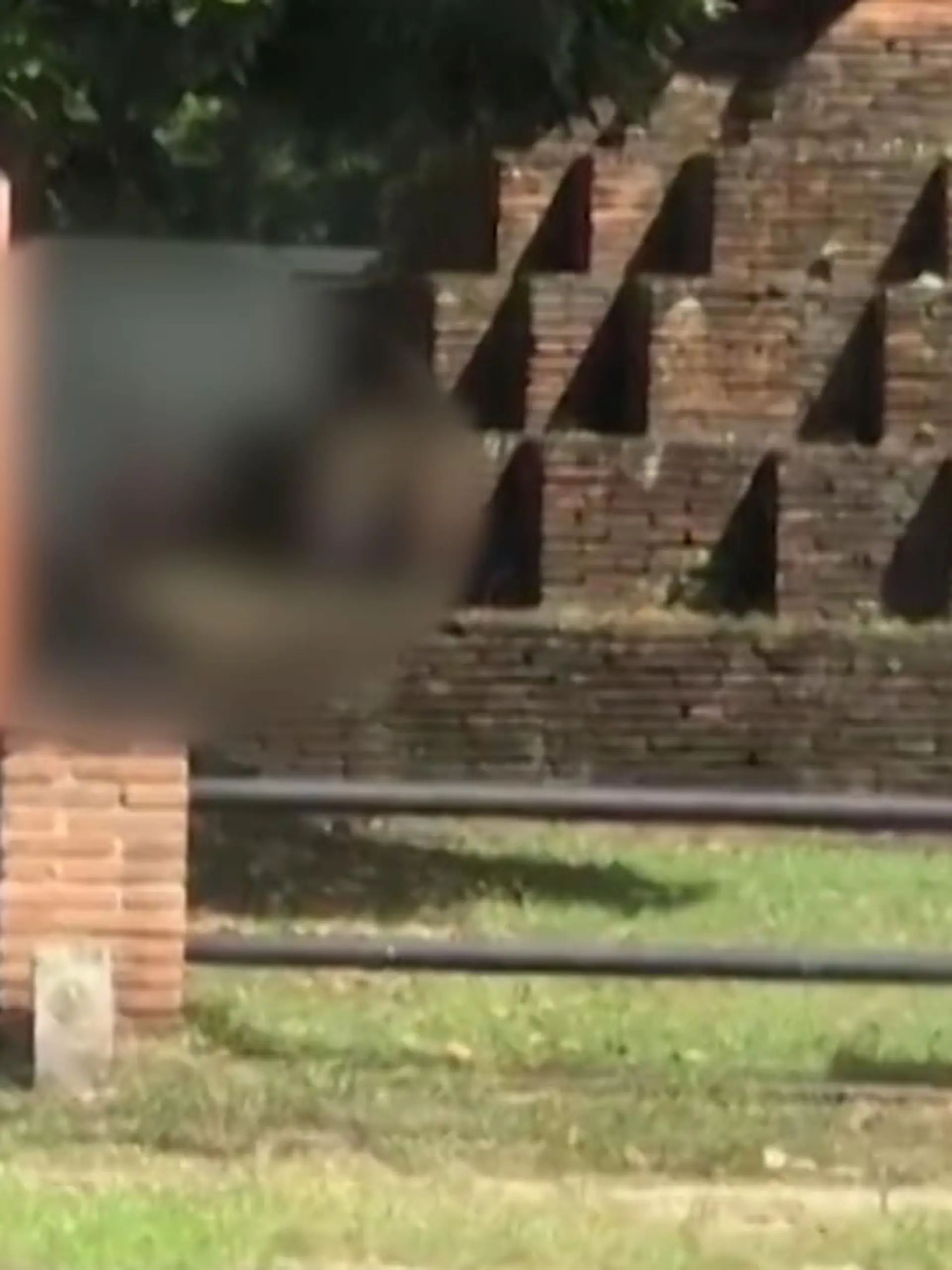 Kurioser Polizei-Einsatz in Thailand: Ein Sex-Video, das an einer Pagode entstand, rief die Ermittler auf den Plan. Und kostet die beiden Liebenden, die nach eigenen Angaben schon länger nicht mehr zusammen waren, jetzt eine Strafe.