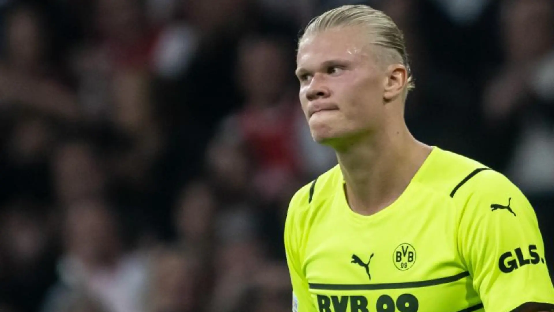 Bernd Thissen