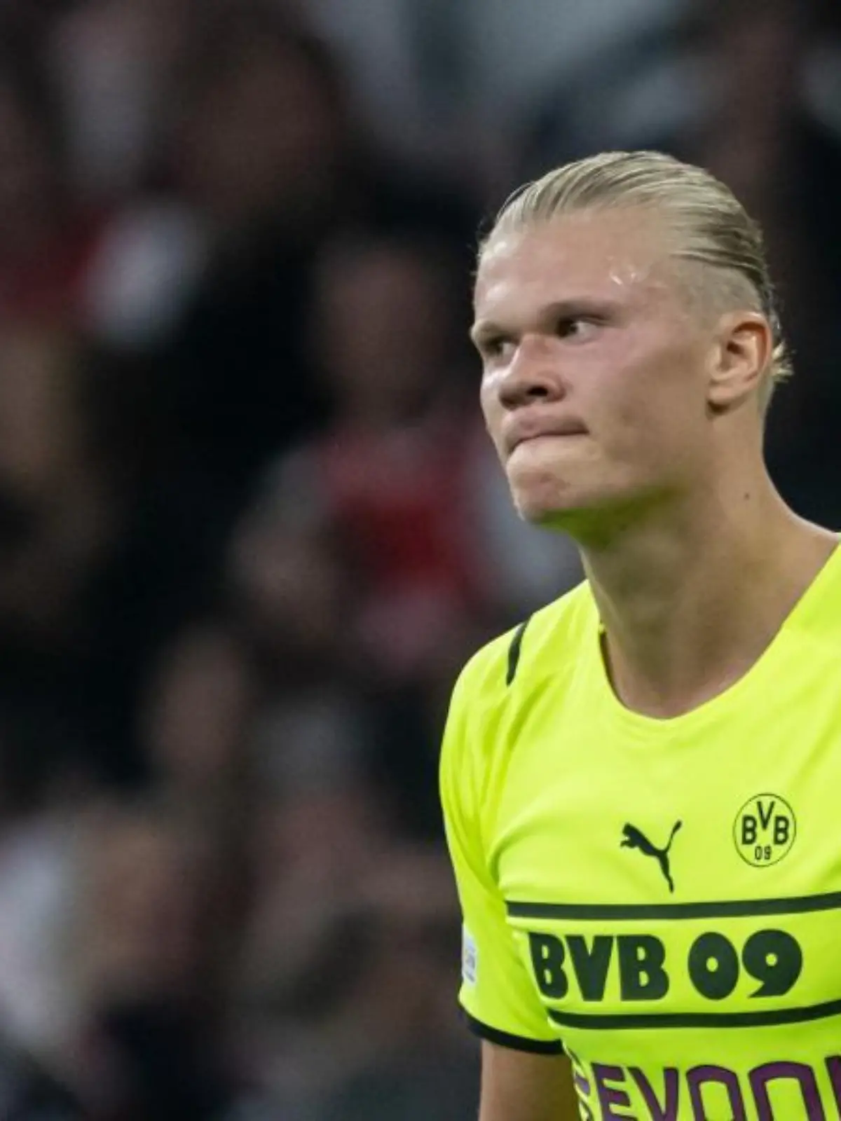 Bernd Thissen