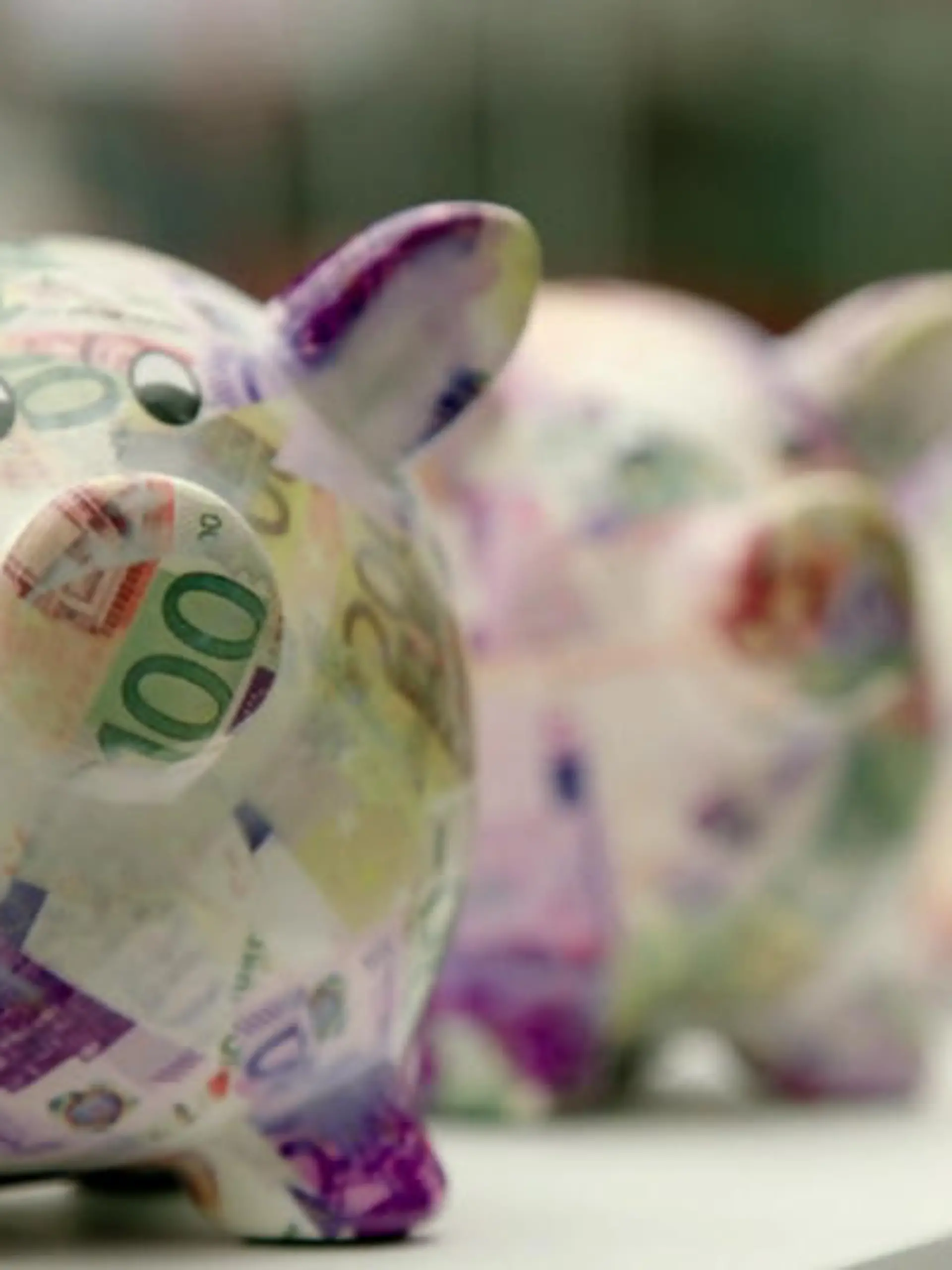 Geld Sparschwein.jpg