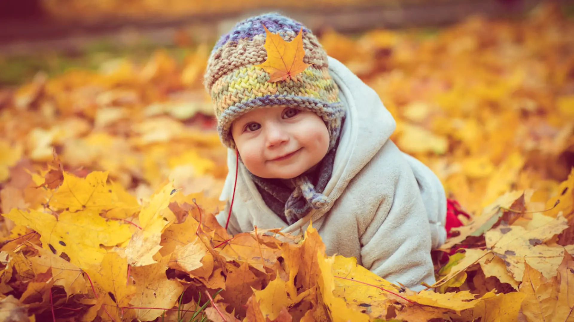 Cute child in autumn leaves