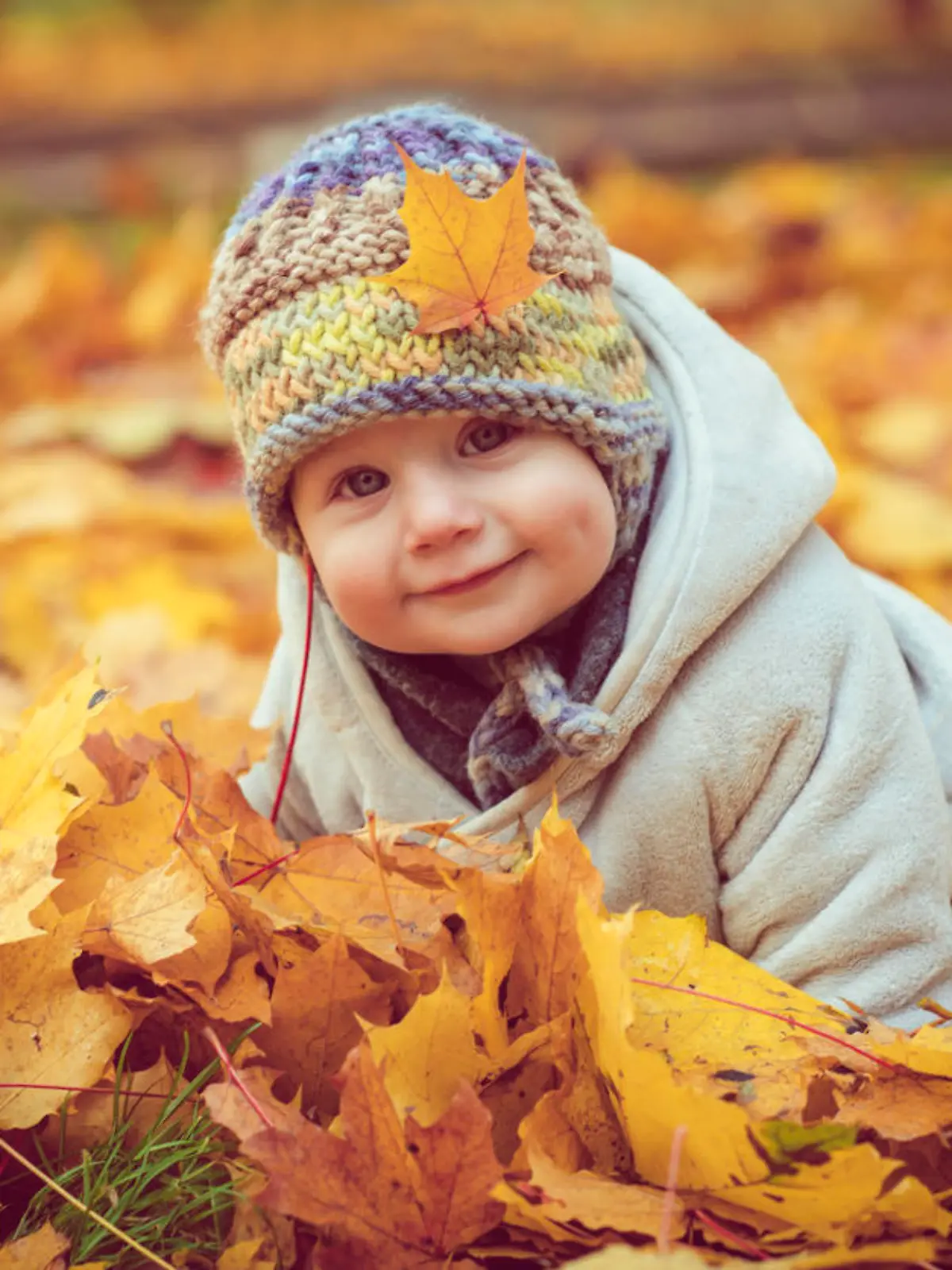 Cute child in autumn leaves