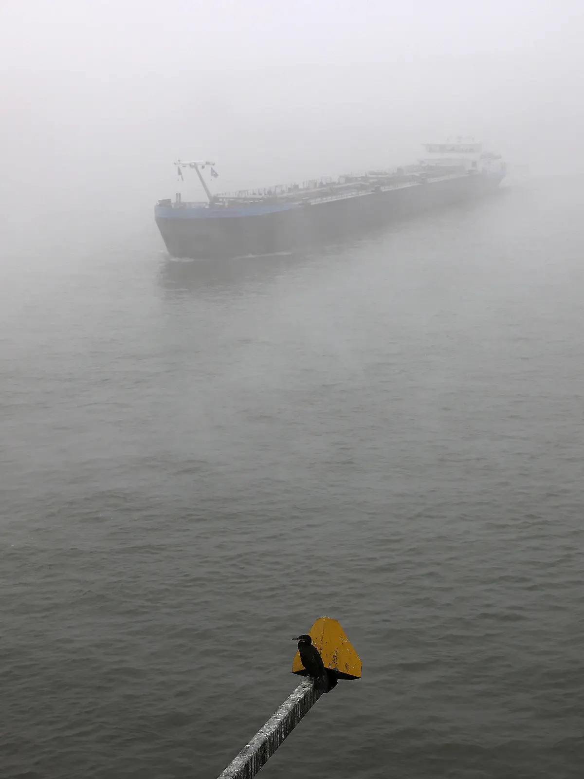 16.10.2021, Nordrhein-Westfalen, Köln: Ein Schiff fährt im Nebel über den Rhein. Foto: Oliver Berg/dpa +++ dpa-Bildfunk +++