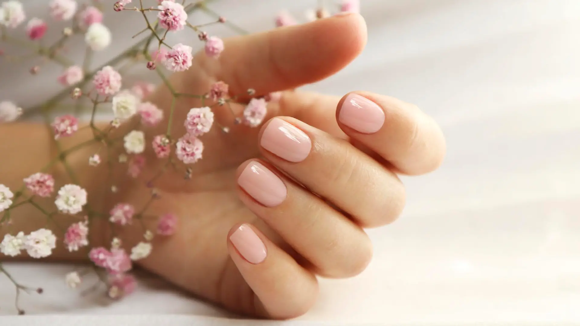 Light pink manicure on short nails with Gypsophila.