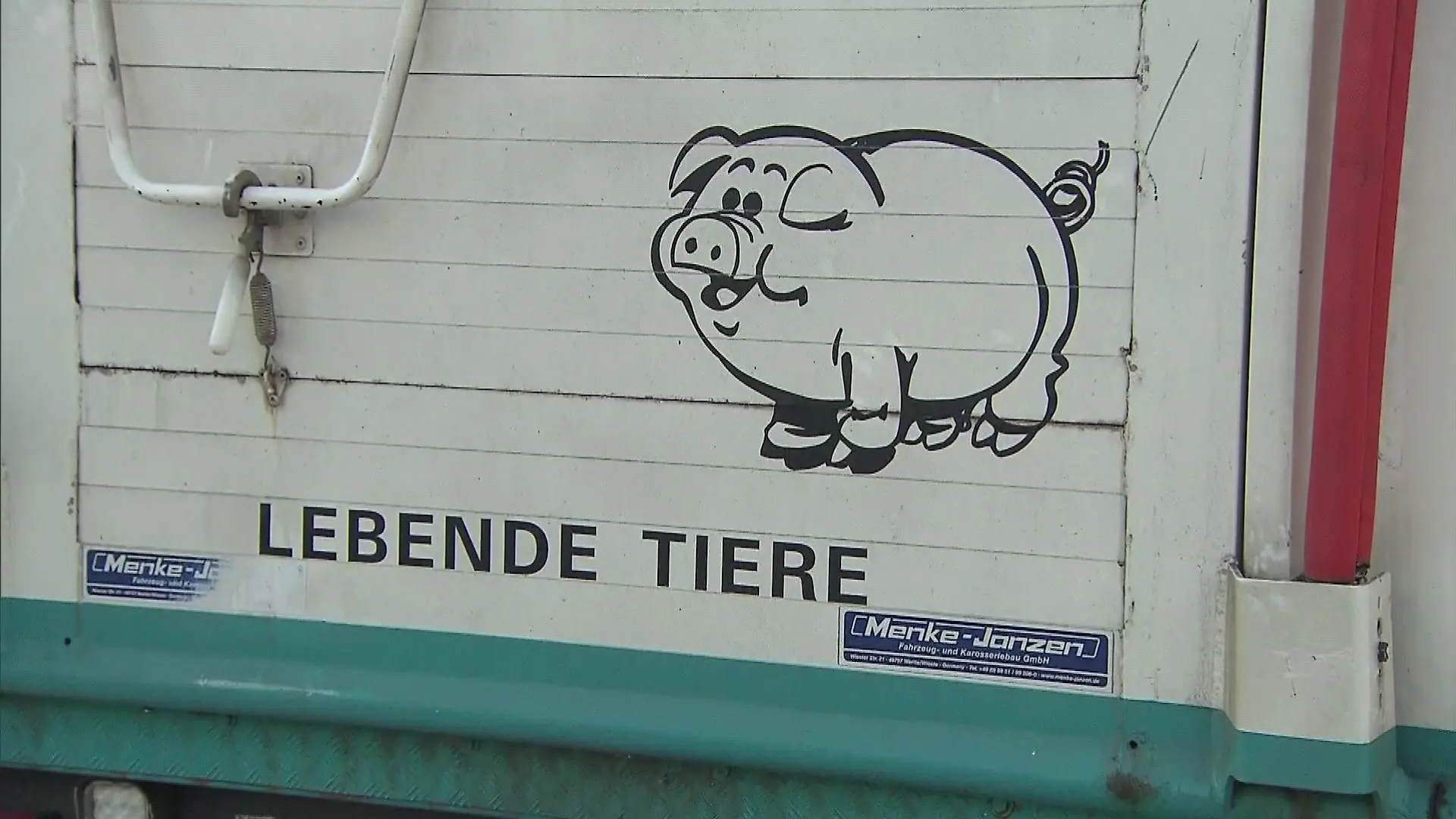 Hier werden Nutztiere transportiert.