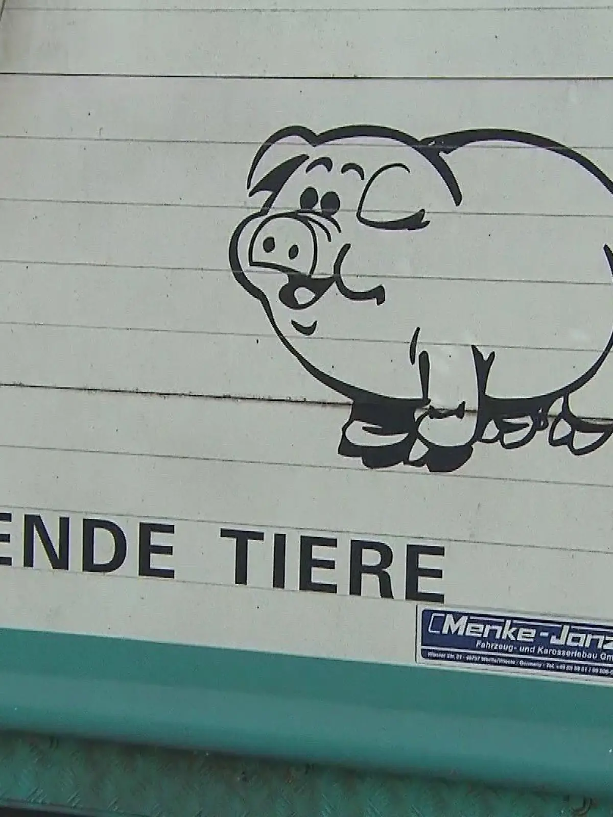 Hier werden Nutztiere transportiert.