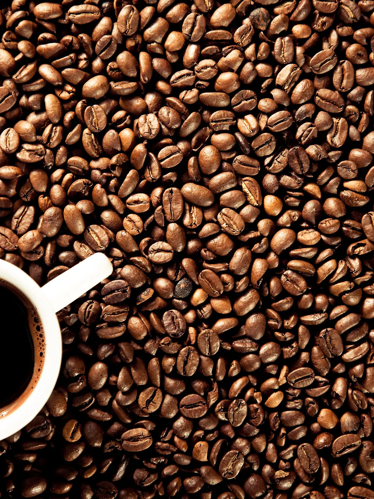 Fresh brewed coffee with coffeebeans