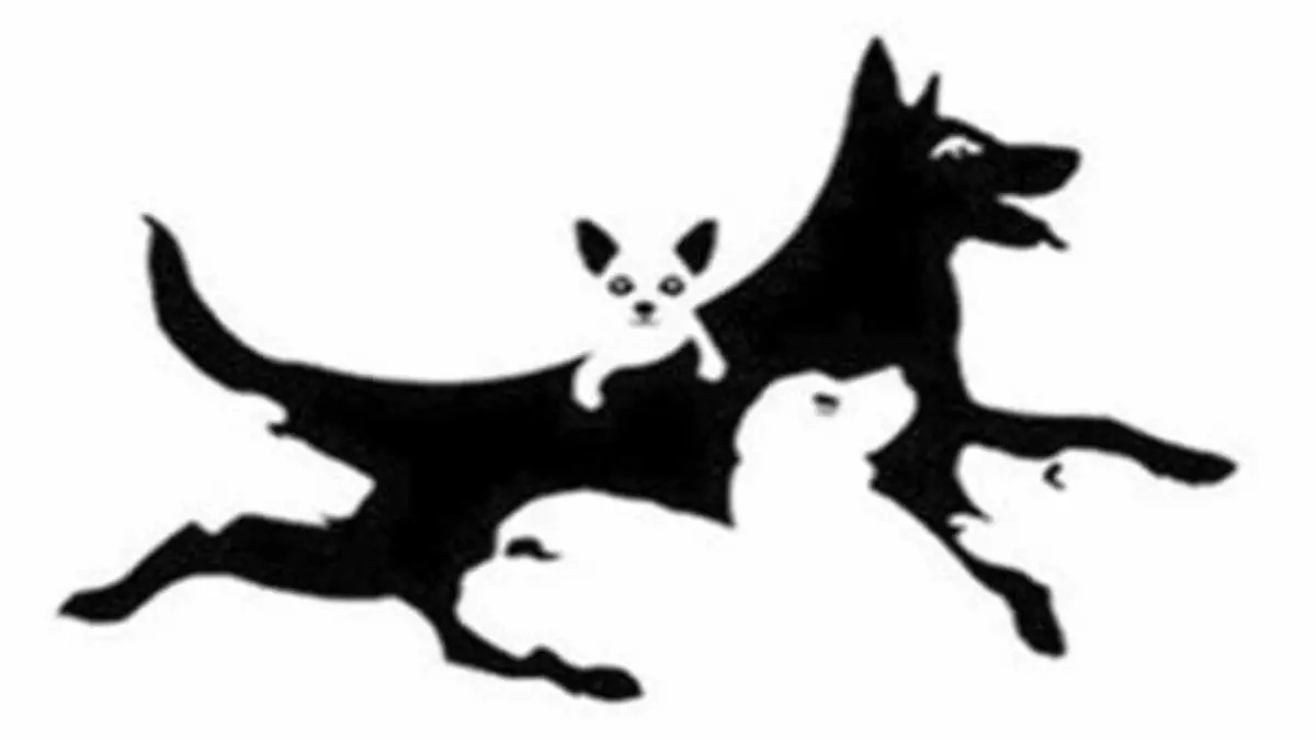 Bilderrätsel mit Hunden