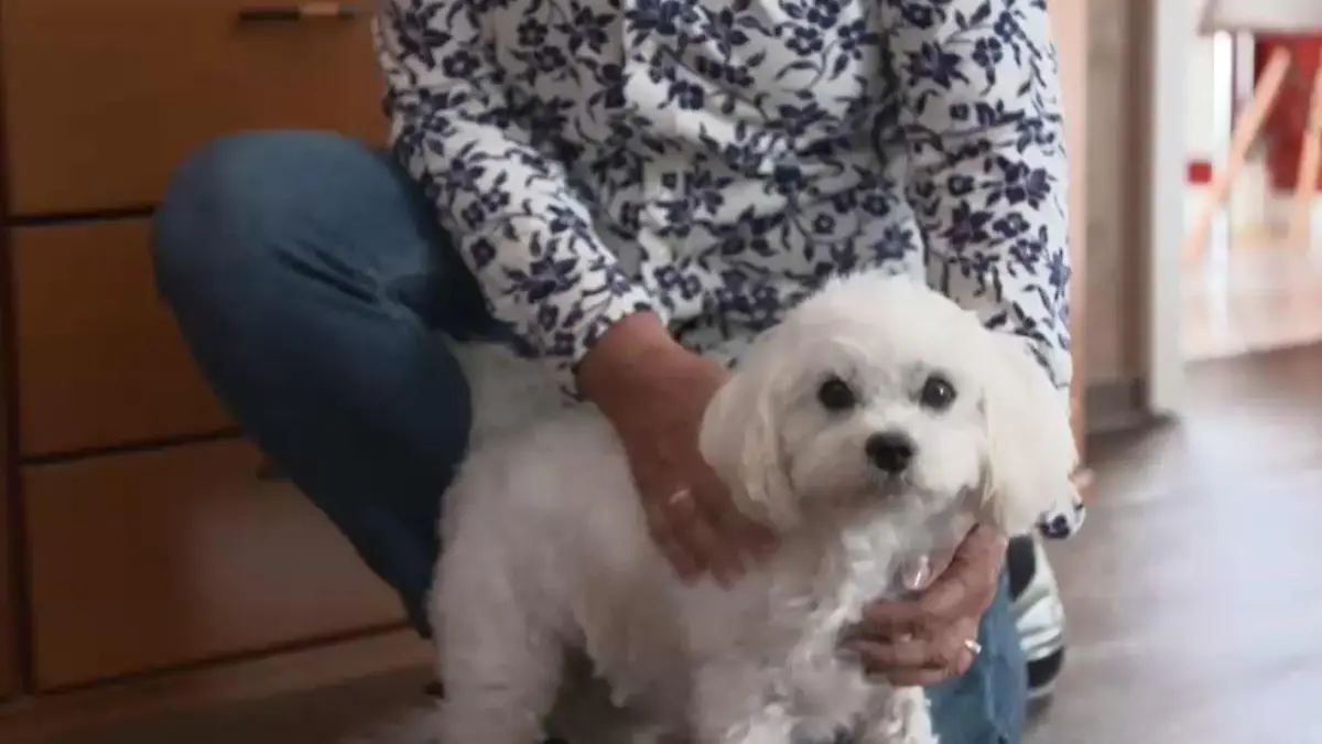 Familienhund Lenny scheint zu spüren, dass etwas nicht stimmt.