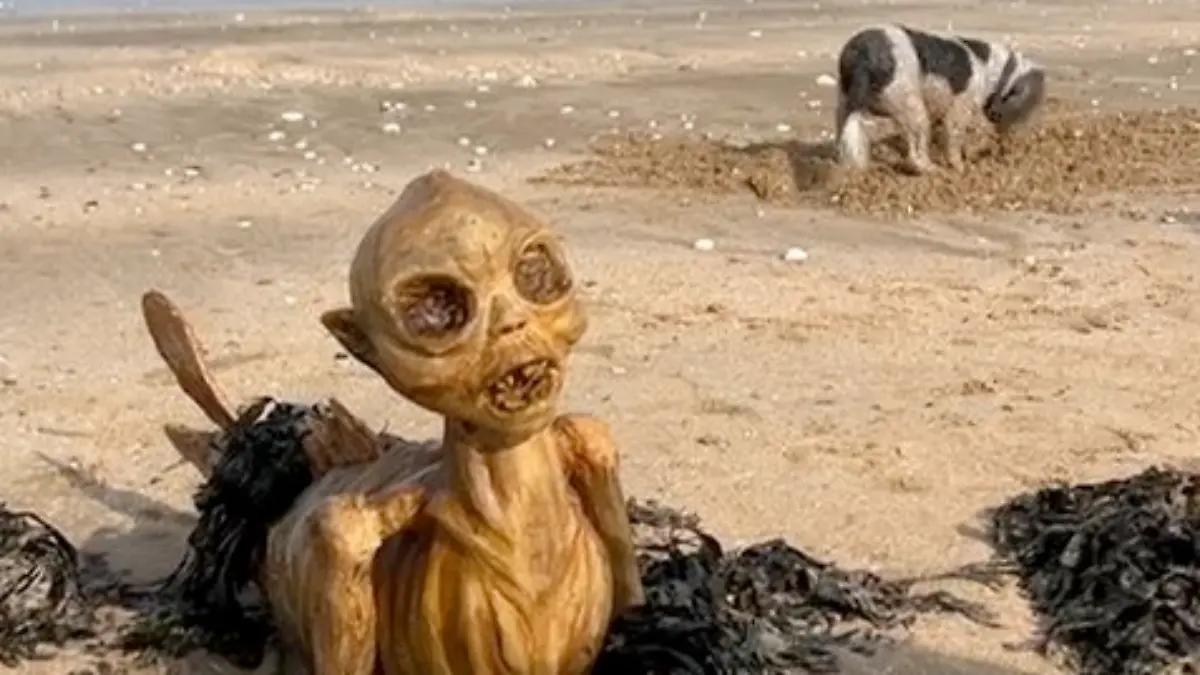 Strandbesucher stehen in Margate (England) vor einem Rätsel.