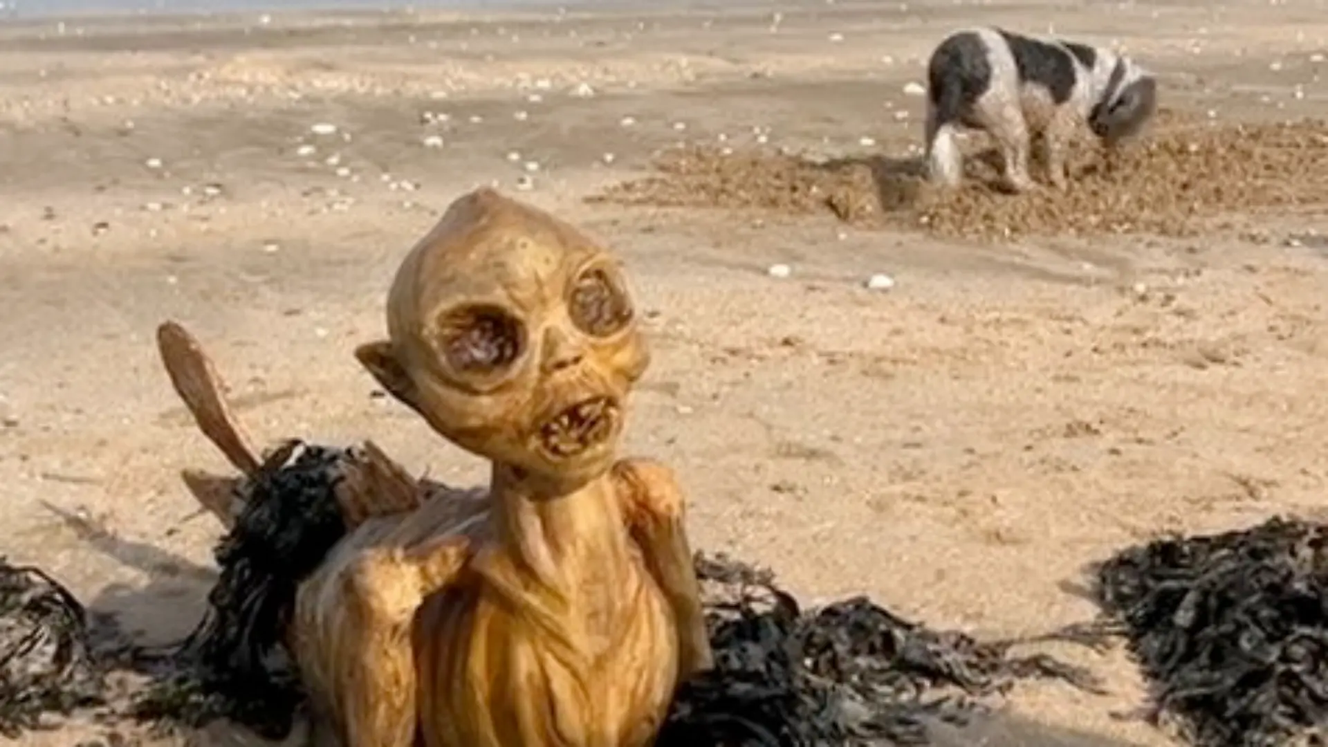 Strandbesucher stehen in Margate (England) vor einem Rätsel.