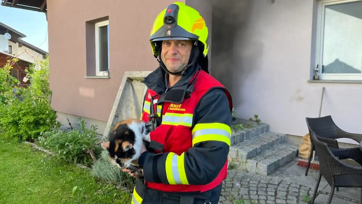 Die Feuerwehr konnte eine Hauskatze aus dem brennenden Haus retten.