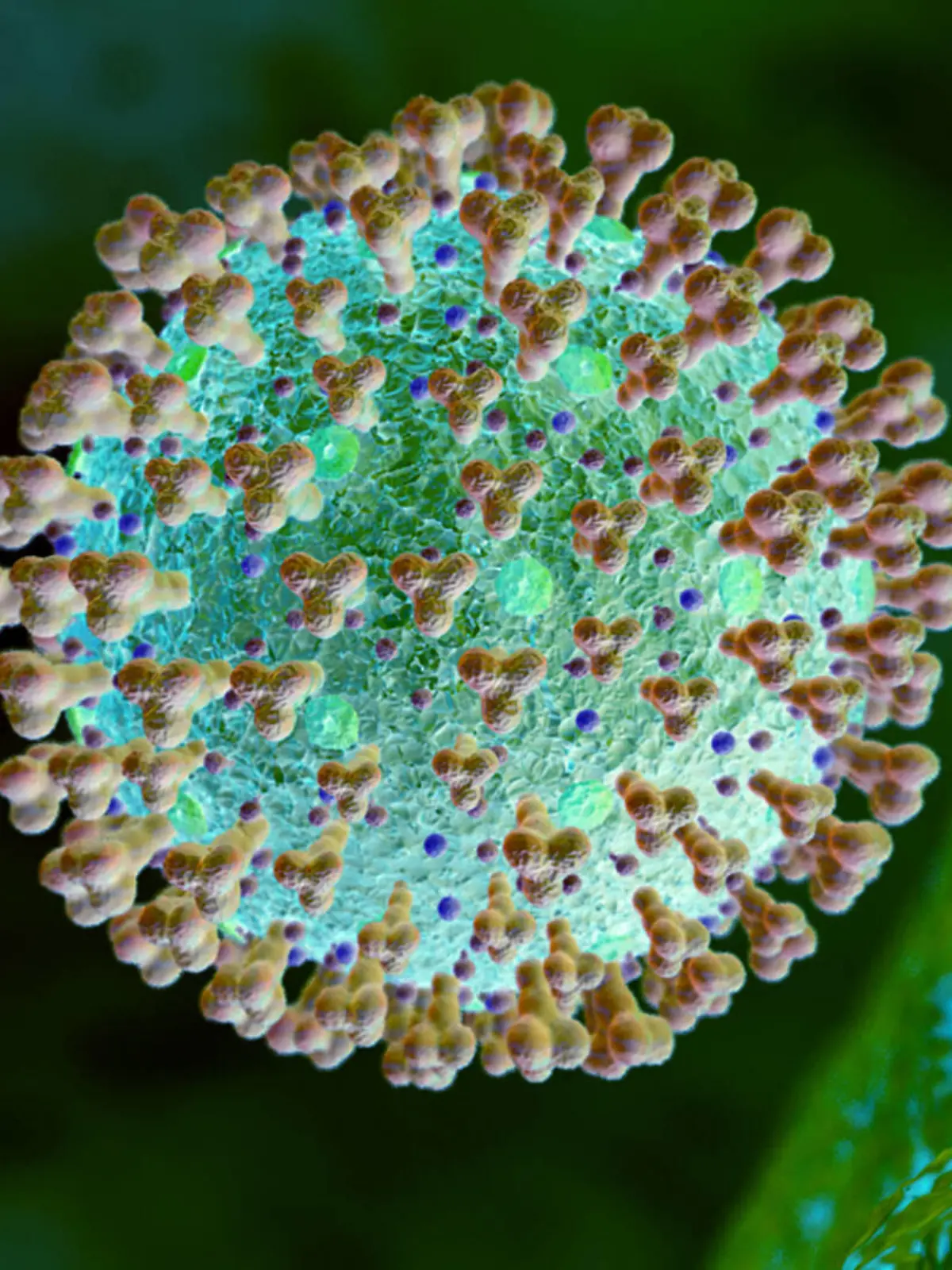  09.10.2020, Grafik, Corona-Virus Mikroskopische Ansicht, 09.10.2020, Grafik Corona-Virus Mikroskopische Ansicht 09.10.2020, Grafik Corona-Virus Mikroskopische Ansicht *** 09 10 2020, Graphic, Corona Virus Microscopic view, 09 10 2020, Graphic Corona Virus Microscopic view 09 10 2020, Graphic Corona Virus Microscopic view