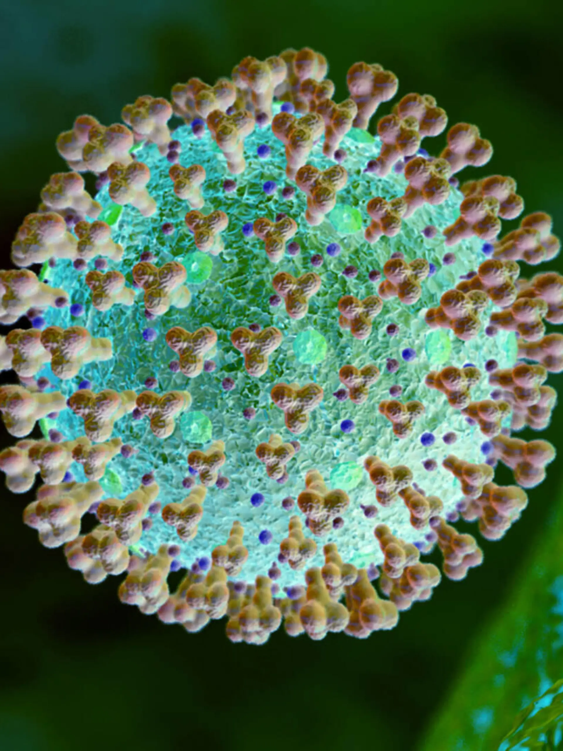  09.10.2020, Grafik, Corona-Virus Mikroskopische Ansicht, 09.10.2020, Grafik Corona-Virus Mikroskopische Ansicht 09.10.2020, Grafik Corona-Virus Mikroskopische Ansicht *** 09 10 2020, Graphic, Corona Virus Microscopic view, 09 10 2020, Graphic Corona Virus Microscopic view 09 10 2020, Graphic Corona Virus Microscopic view