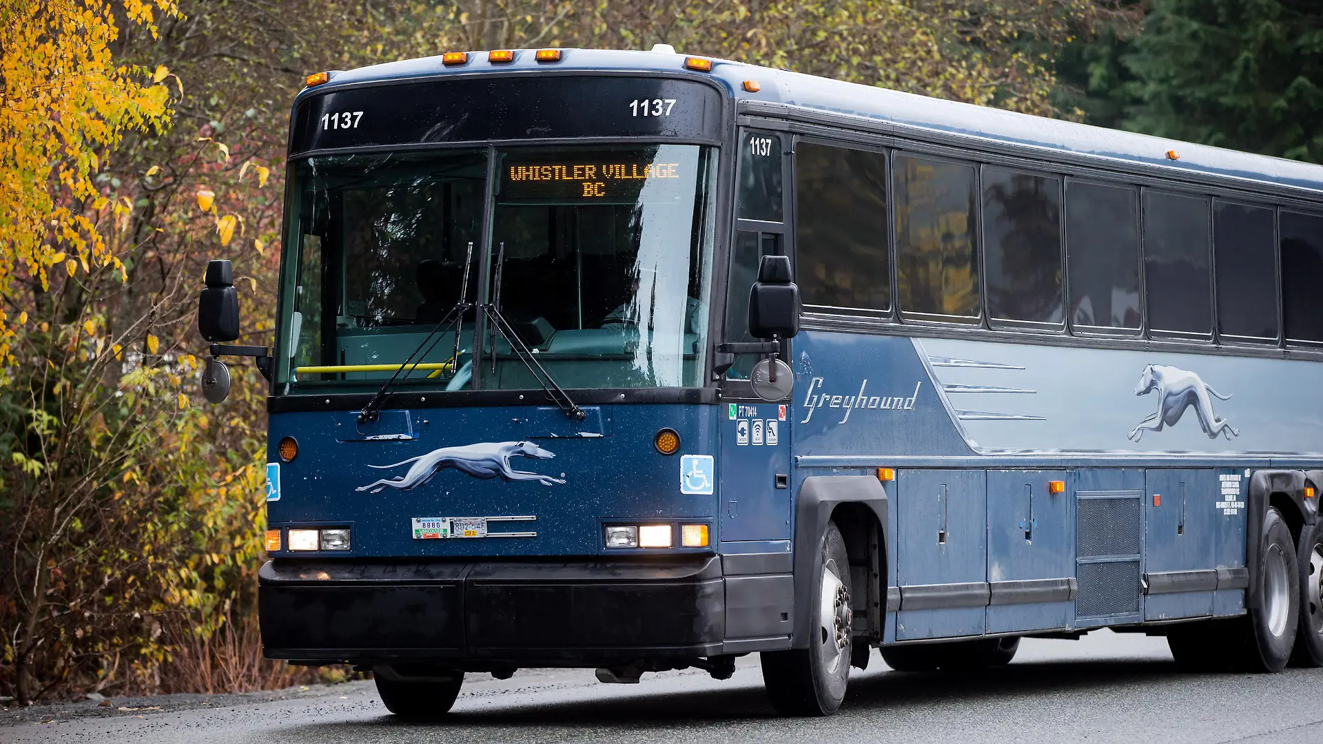 THE CANADIAN PRESS 2018-10-31. Greyhound bus driver Brent Clark, who has been with the company since 1983, drives to a parking lot after arriving in Whistler, B.C., from Vancouver on Wednesday October 31, 2018. Clark was parking the bus for the day before driving the return trip to Vancouver at 5 p.m., his last passenger route for Greyhound Canada as service in B.C., Alberta, Saskatchewan and Manitoba was being eliminated at midnight. He said he's staying on with the company until mid-November repositioning buses from Vancouver to Ontario. THE CANADIAN PRESS/Darryl Dyck URN:39440836
