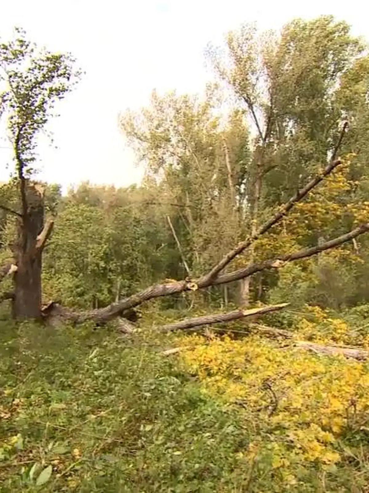 Bild zu: "Sturm im Land"