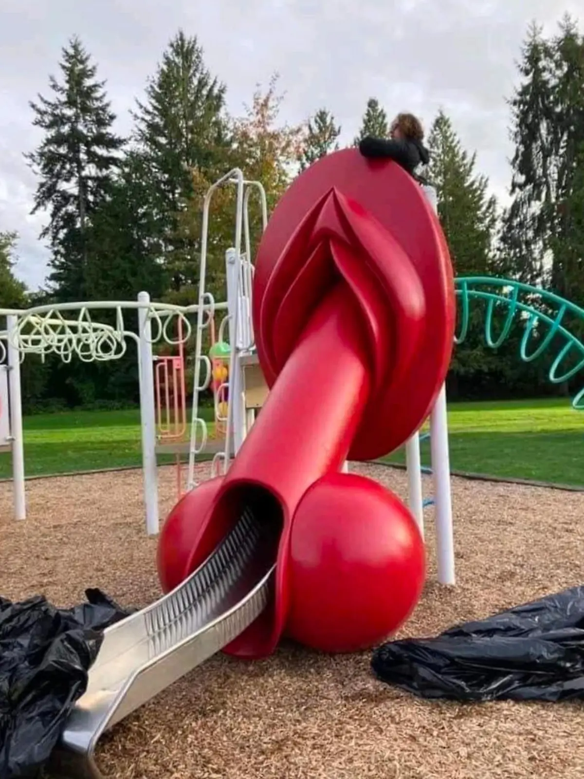 Penis-Vagina-Rutsche Maple Ridge Kanada