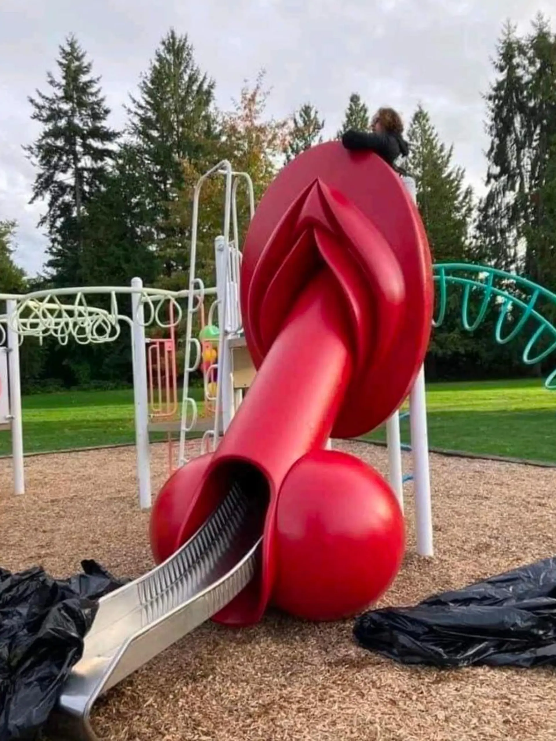 Penis-Vagina-Rutsche Maple Ridge Kanada
