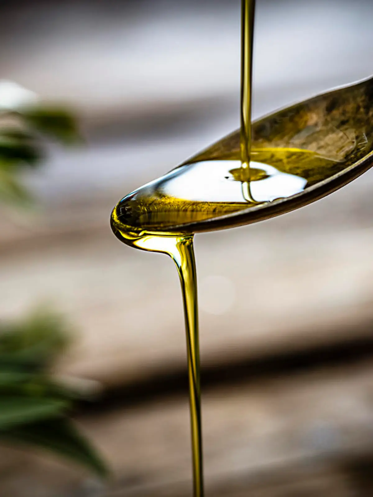 Pouring extra virgin olive oil on a vintage metal spoon. Selective focus on spoon. Useful copy space available for text and/or logo. Predominant colors are gold, green and brown. High resolution 42Mp studio digital capture taken with Sony A7rii and Sony FE 90mm f2.8 macro G OSS lens