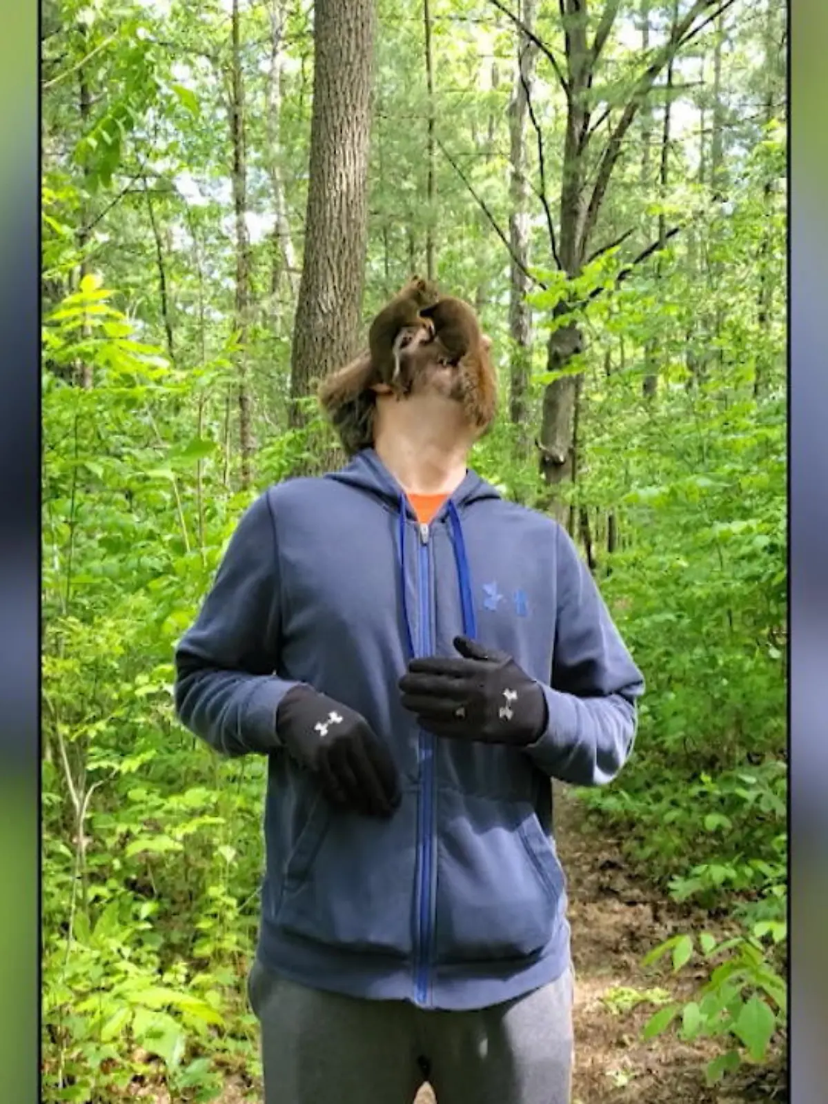 In einem Wald in der kanadischen Provinz Ontario gehen zwei Eichhörnchen plötzlich auf Tuchfühlung mit einem Spaziergänger. Was steckt hinter der Attacke?