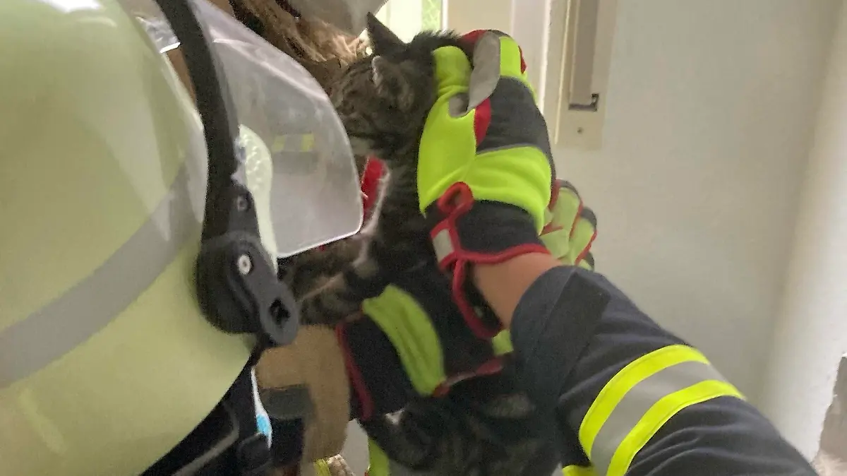 Bild: Feuerwehr