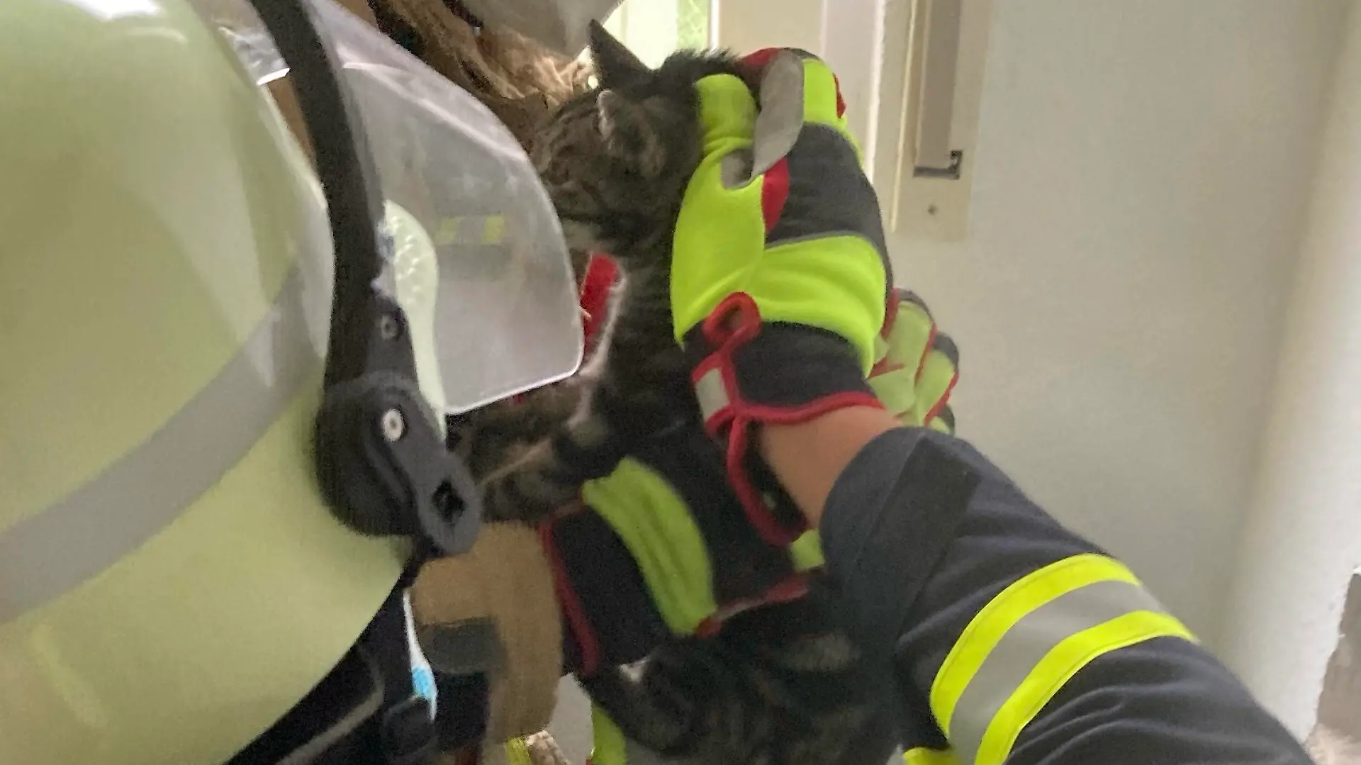Bild: Feuerwehr