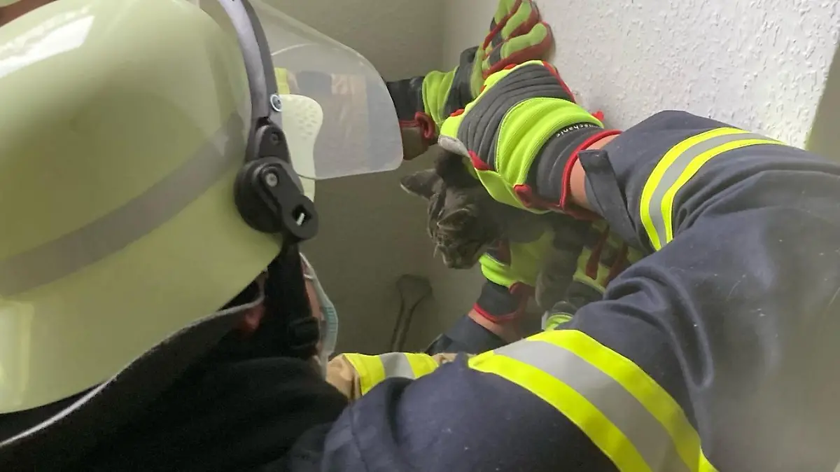 Bild: Feuerwehr