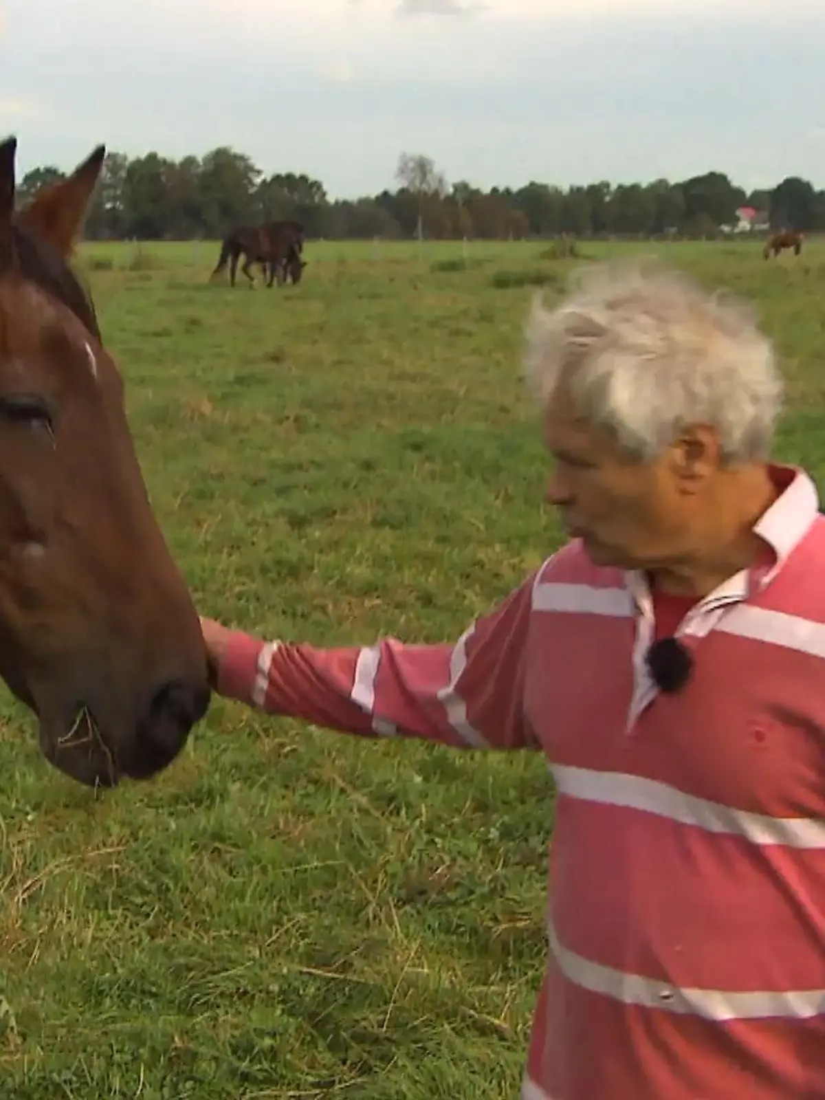 Bild zu: "Ex-Jockey rettete Pferd das Leben"