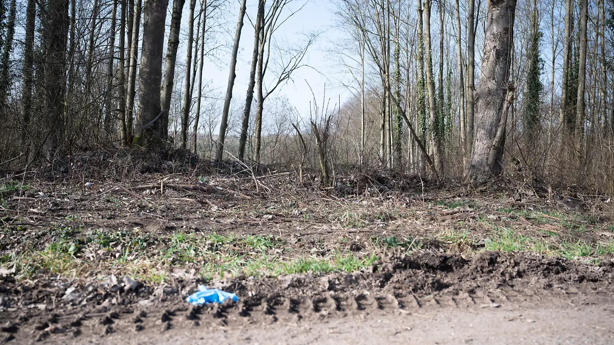 25.02.2021, Baden-Württemberg, Sinsheim: Ein Waldstück, in dem sich der mutmaßliche Tatort befindet. Nachdem ein 13-jähriger Junge tot in der Nähe von Sinsheim-Eschelbach gefunden worden war, laufen bei der Polizei am Donnerstag weiter die Ermittlungen. Ein 14-Jähriger stehe im Verdacht, den 13-Jährigen getötet zu haben. Foto: Sebastian Gollnow/dpa +++ dpa-Bildfunk +++