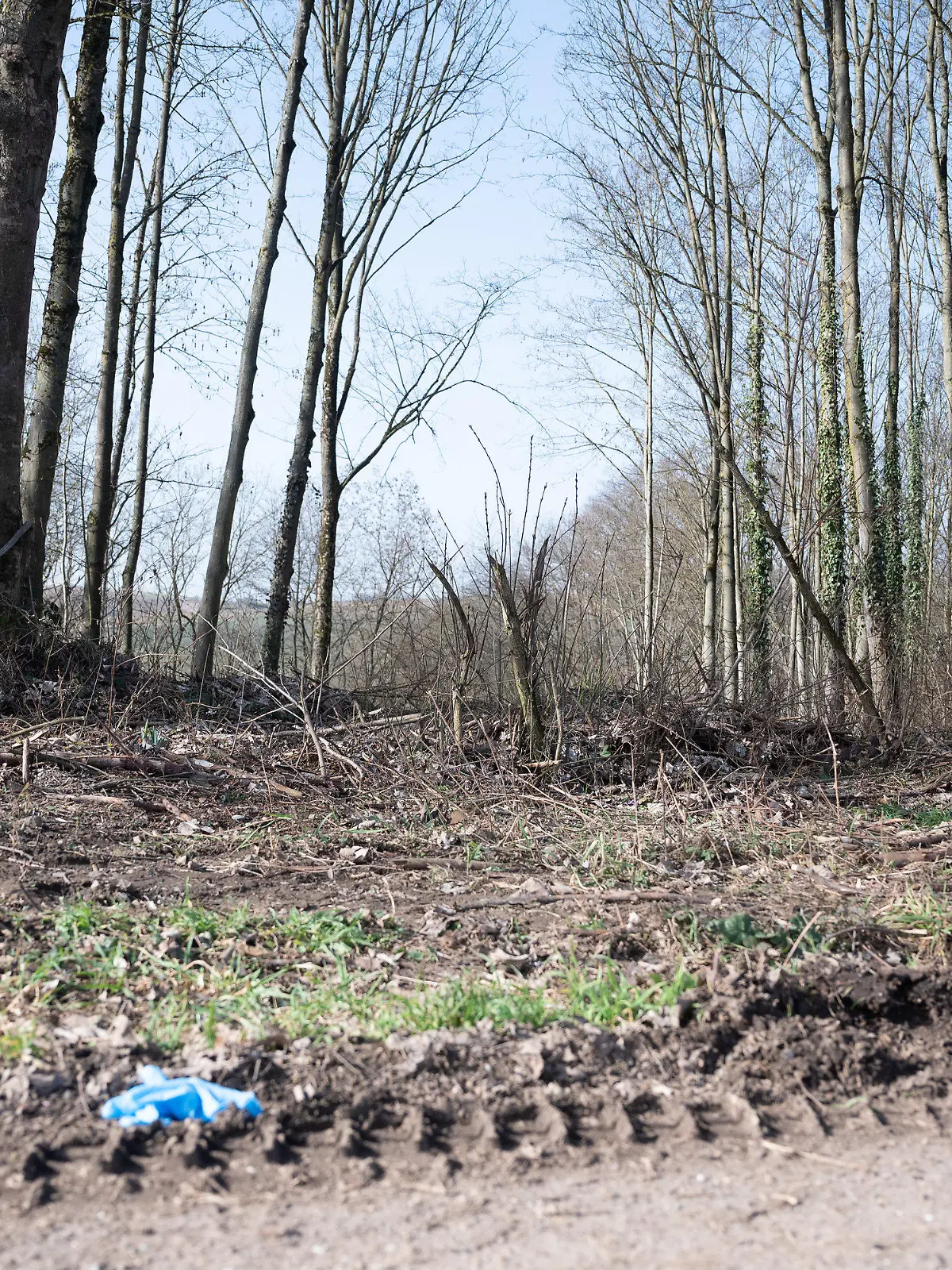 25.02.2021, Baden-Württemberg, Sinsheim: Ein Waldstück, in dem sich der mutmaßliche Tatort befindet. Nachdem ein 13-jähriger Junge tot in der Nähe von Sinsheim-Eschelbach gefunden worden war, laufen bei der Polizei am Donnerstag weiter die Ermittlungen. Ein 14-Jähriger stehe im Verdacht, den 13-Jährigen getötet zu haben. Foto: Sebastian Gollnow/dpa +++ dpa-Bildfunk +++