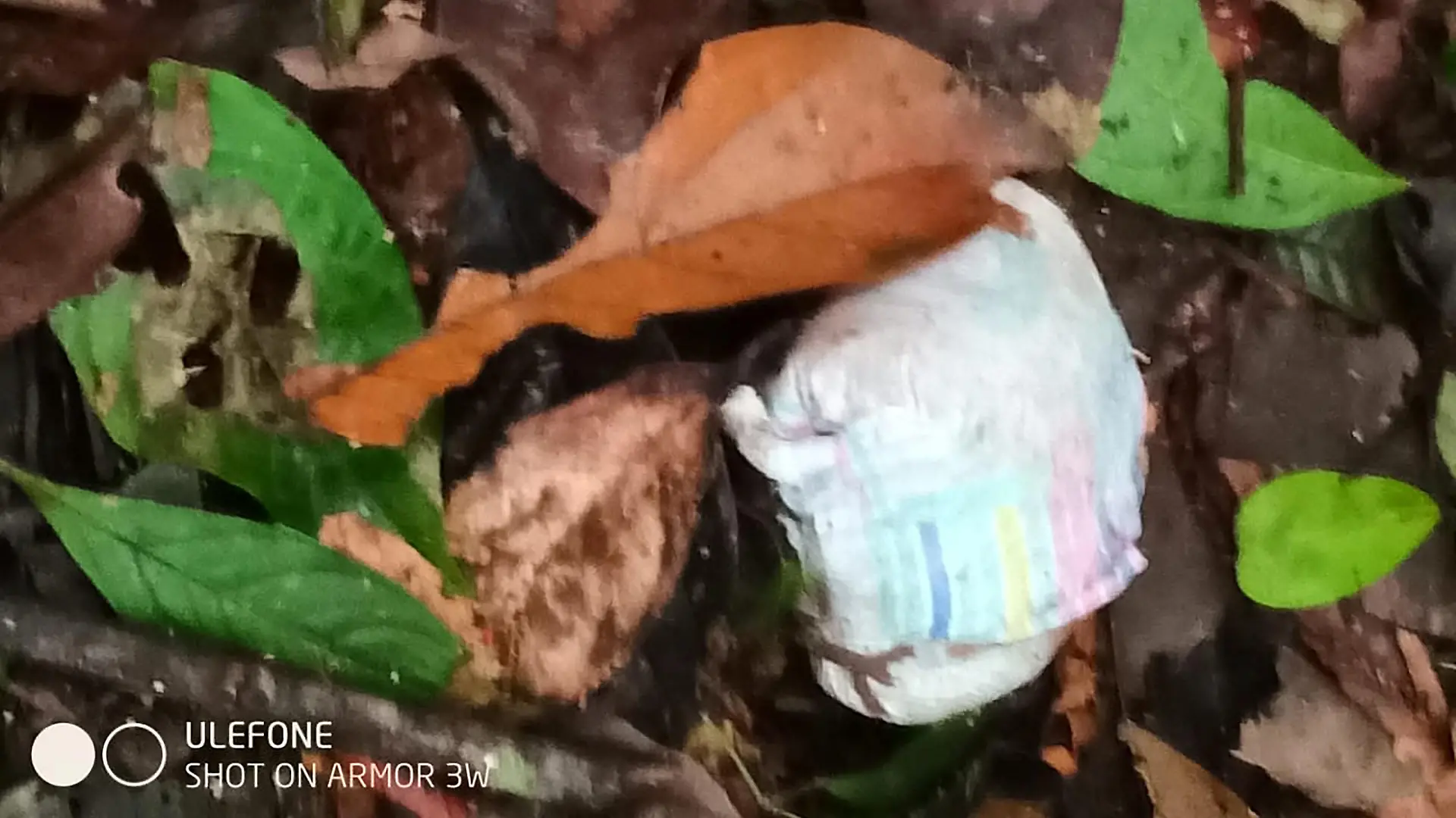 A diaper is seen in the forest during the search operation for child survivors from a Cessna 206 plane that had crashed in the jungles of Caqueta, Colombia May 23, 2023. Colombian Military Forces/Handout via REUTERS  ATTENTION EDITORS - THIS IMAGE WAS PROVIDED BY A THIRD PARTY. MANDATORY CREDIT. NO RESALES. NO ARCHIVES BEST QUALITY AVAILABLE