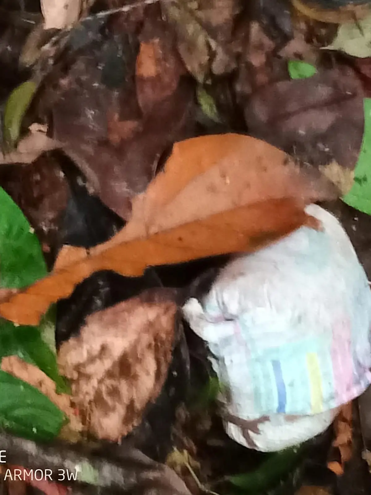 A diaper is seen in the forest during the search operation for child survivors from a Cessna 206 plane that had crashed in the jungles of Caqueta, Colombia May 23, 2023. Colombian Military Forces/Handout via REUTERS  ATTENTION EDITORS - THIS IMAGE WAS PROVIDED BY A THIRD PARTY. MANDATORY CREDIT. NO RESALES. NO ARCHIVES BEST QUALITY AVAILABLE