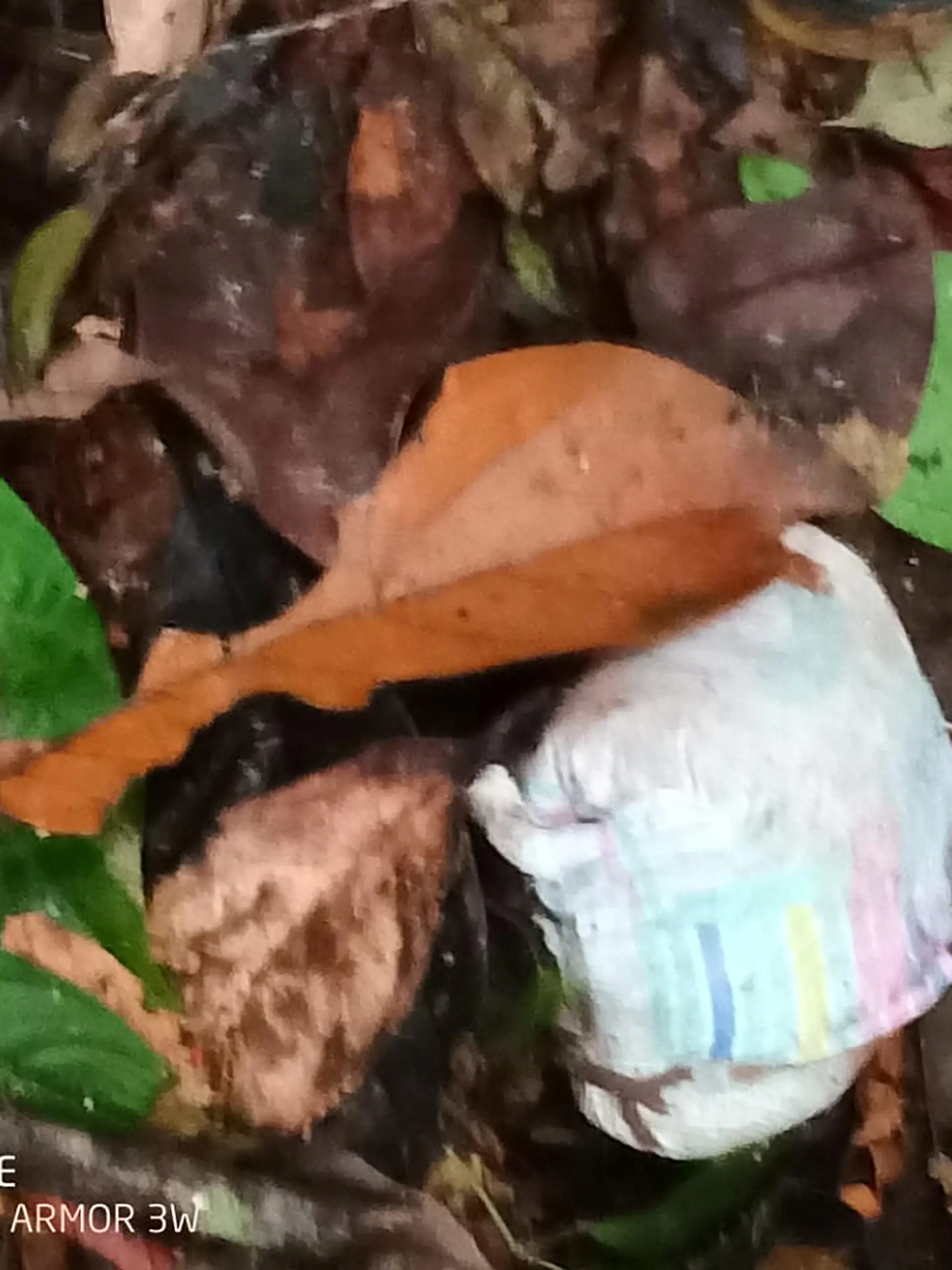 A diaper is seen in the forest during the search operation for child survivors from a Cessna 206 plane that had crashed in the jungles of Caqueta, Colombia May 23, 2023. Colombian Military Forces/Handout via REUTERS  ATTENTION EDITORS - THIS IMAGE WAS PROVIDED BY A THIRD PARTY. MANDATORY CREDIT. NO RESALES. NO ARCHIVES BEST QUALITY AVAILABLE