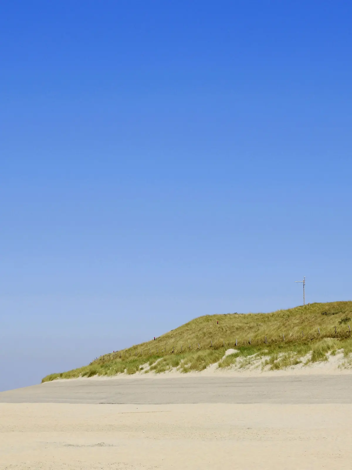 Leuchtturm, De Cocksdorp, Texel, Niederlande | Verwendung weltweit