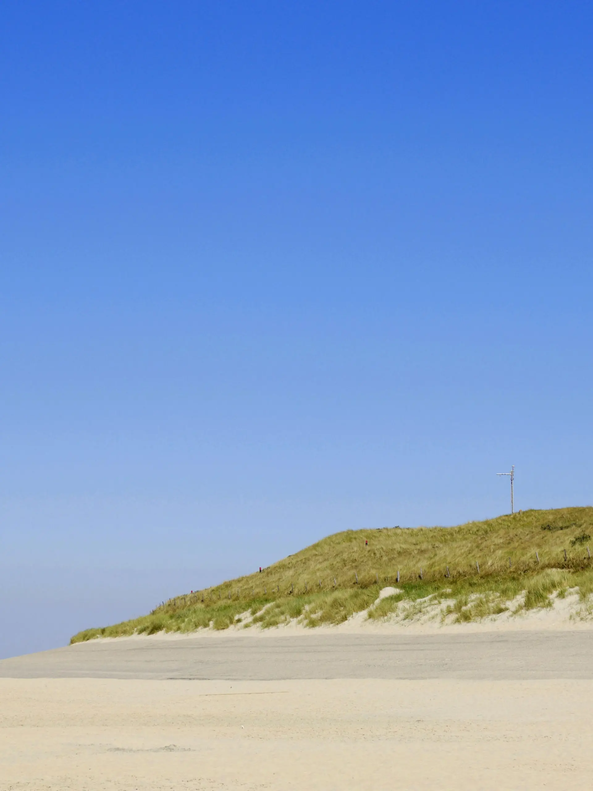 Leuchtturm, De Cocksdorp, Texel, Niederlande | Verwendung weltweit