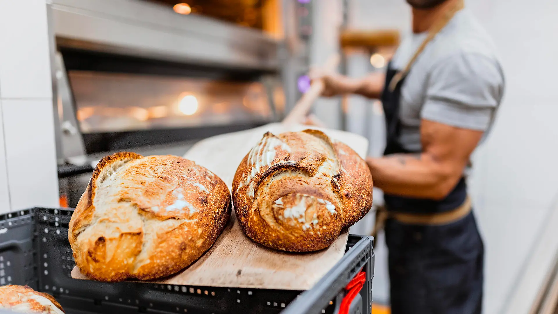 Baker with baked bread on wooden sheet at bakery model released Symbolfoto property released MRRF00177